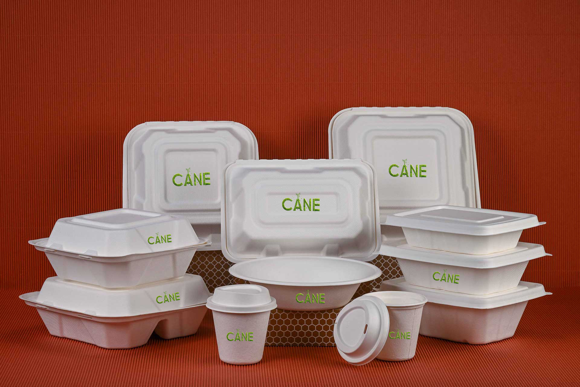 Bagasse Products