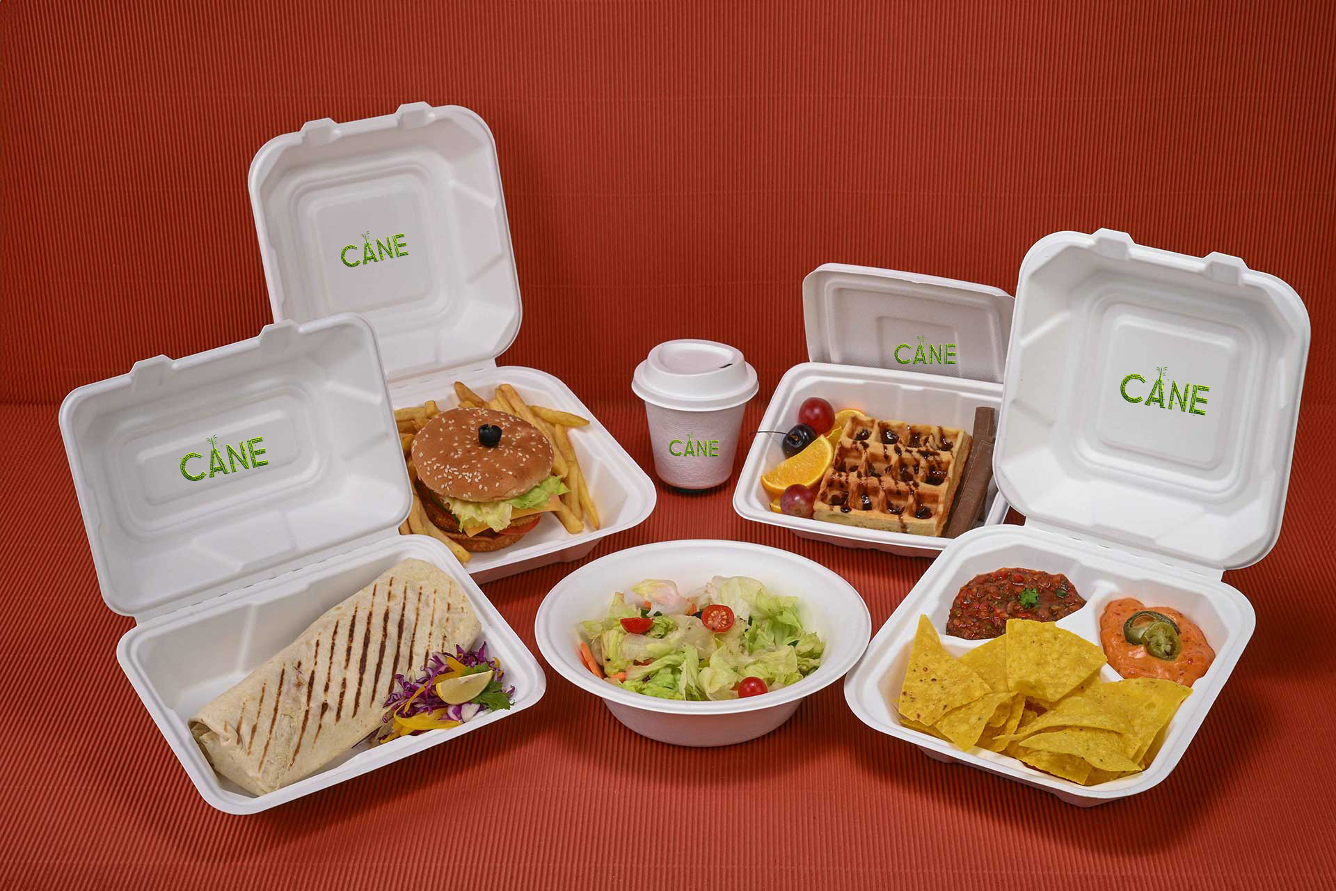 Bagasse Products