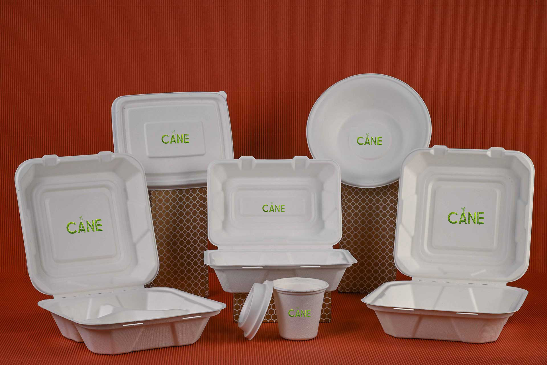 Bagasse Products