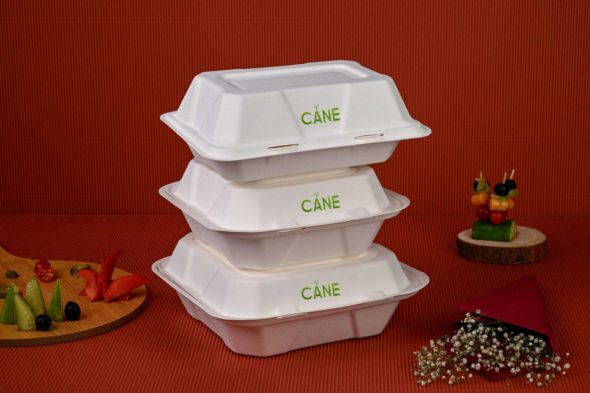 bagasse bowl with lid
