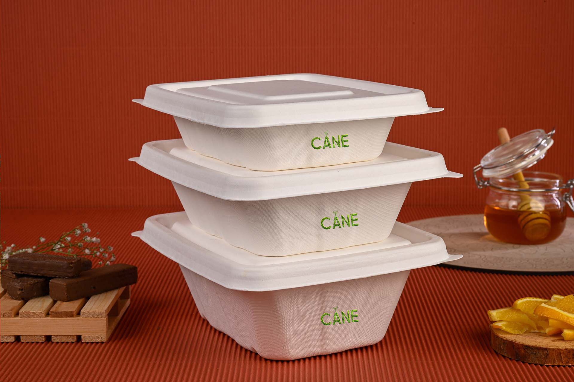 bagasse container