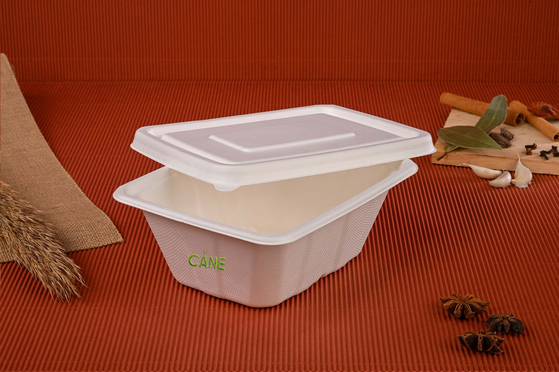 bagasse container