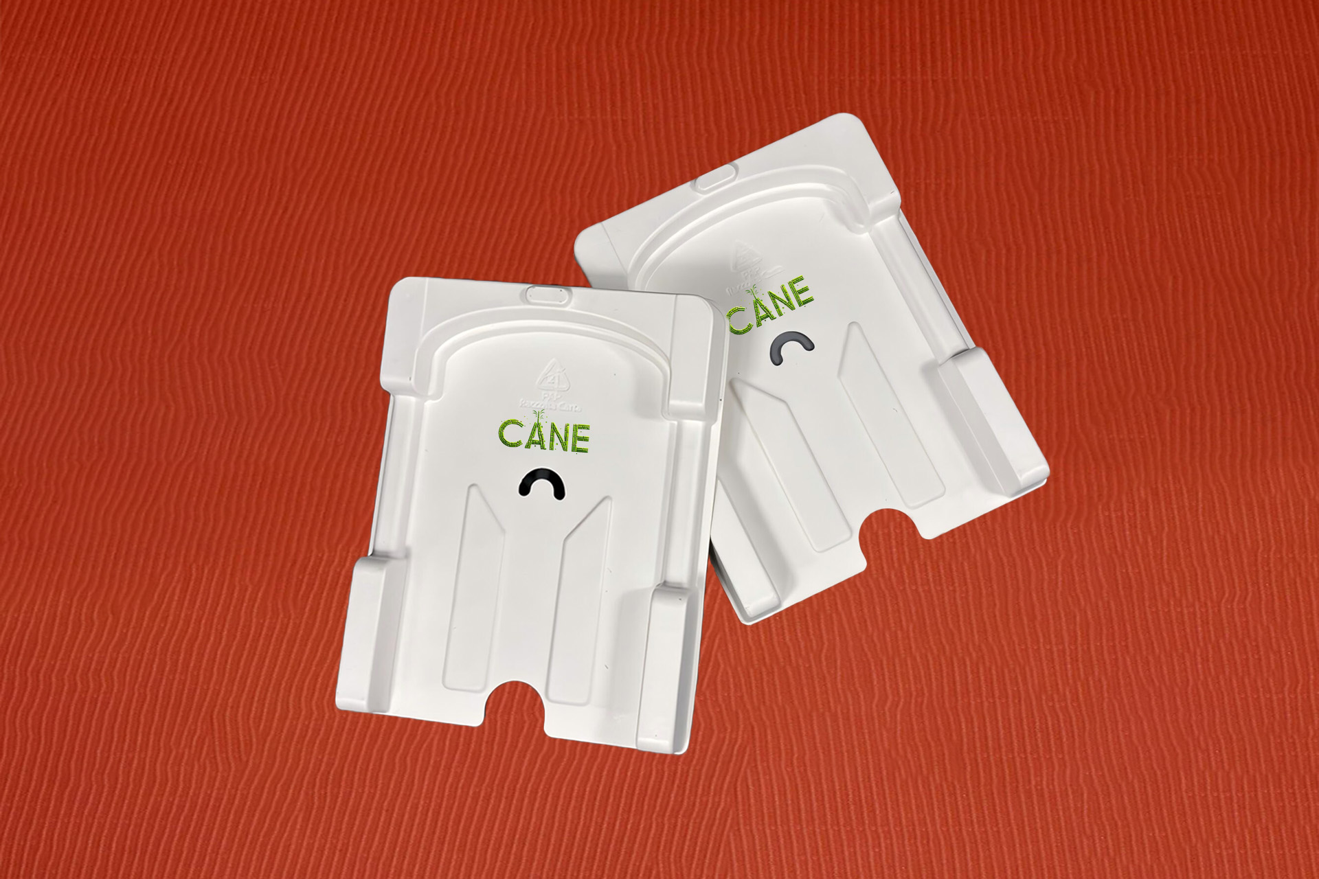 Biodegradable and Ecofriendly Sugarcane Bagasse Industrial Packaging