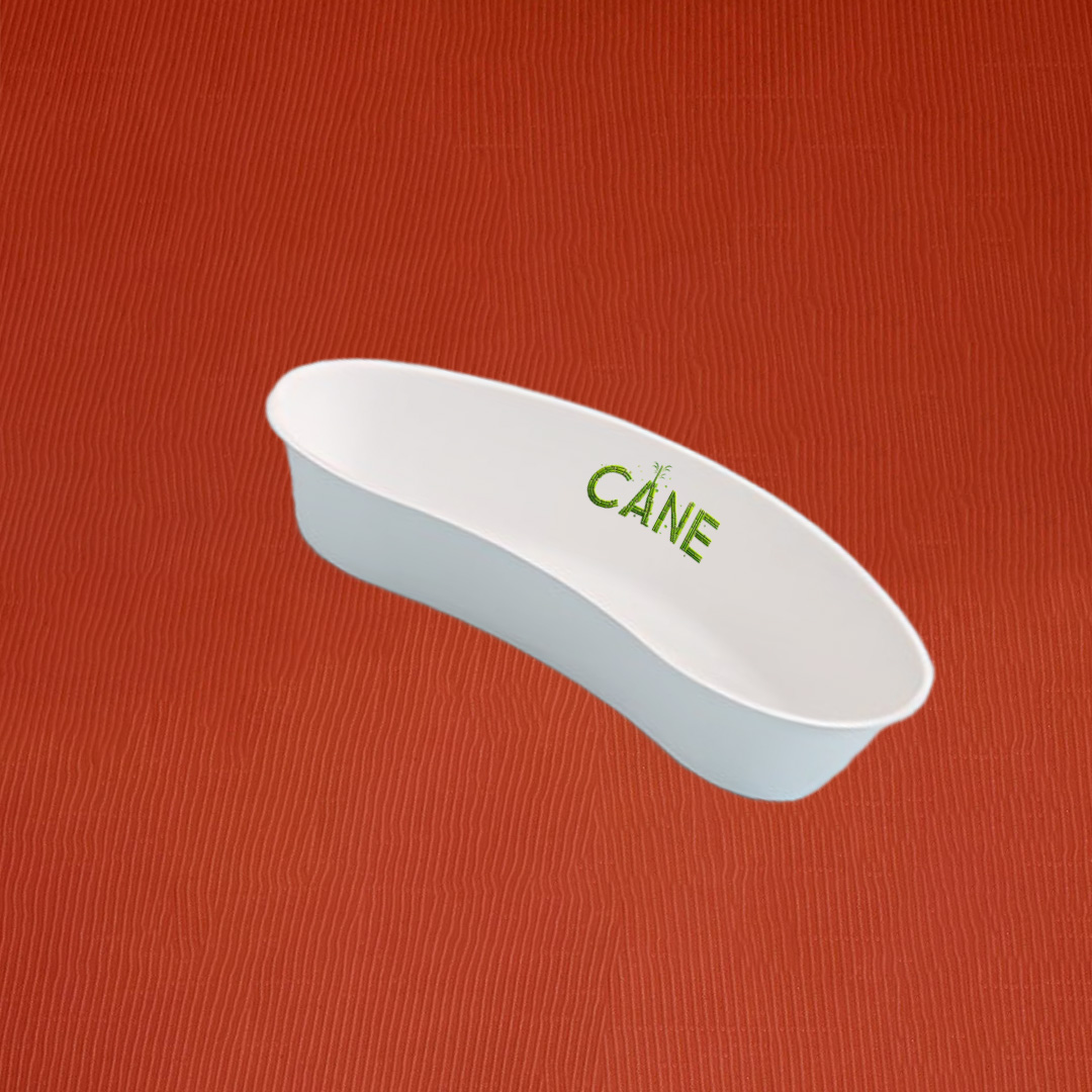Biodegradable and Ecofriendly Sugarcane Bagasse Industrial Packaging